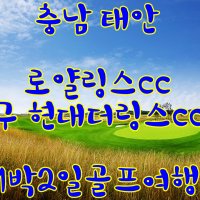 충남 태안 로얄링스cc 1박2일골프여행