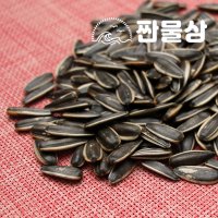 볶은 껍질 해바라기씨 300g, 500g 까먹는 볶음 꽈즈