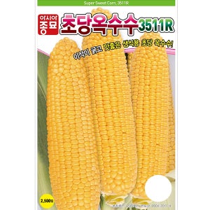 채소 씨앗 - 옥수수 초당옥수수3511R (2000립) 농장텃밭 원예정원용
