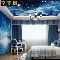 은하 밤하늘 3d 입체 입체우주 별자리 방 침실 벽지호텔 테마벽지 천장 벽지