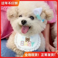 리본 꽃목걸이 생일파티 레이스 고양이 목도리 강아지 입수건 액세서리 포켓몬스터 턱받이