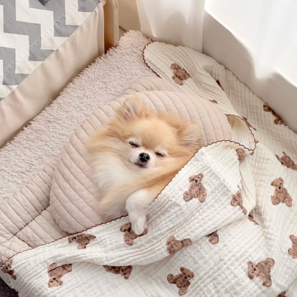 두상이편한 강아지베개 방석 쿠션 바디필로우 반달기본 베이지 소형