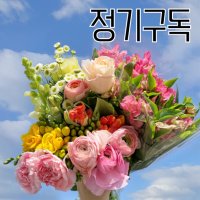 (정기구독)꽃 생화 정기배송 농장직송 플라워팜팜 화훼농가 생화택배