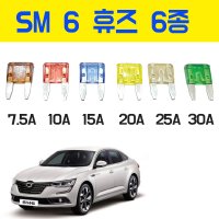 SM6 SM 6 르노 자동차 휴즈 7.5A 10A 15A 20A 30A 6종 퓨즈