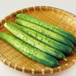 국내산 백오이 아삭아삭 수분가득 오이지 피클용 산지직송 3kg 5kg