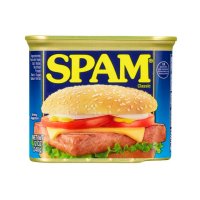 SPAM Classic 미국 스팸 340g