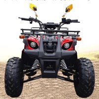125cc ATV-A형 사륜바이크 사발이, 농업용, 효도상품