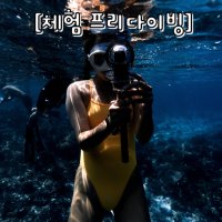 [서울프리다이빙아카데미센터] 5m 잠수풀 프리다이빙 체험다이빙 강습