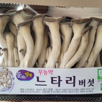 느타리 버섯 200g 1팩