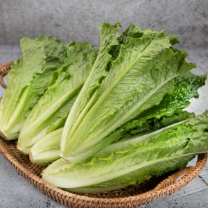 채소팜 통로메인 로메인 상추 500g