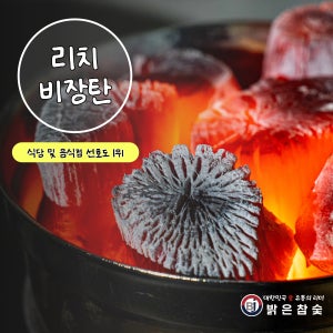 베트남비장탄 10kg 열탄 참숯 백탄 바베큐 캠핑 고기 펜션 구이용 숯 밝은참숯