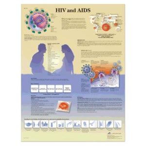 에이즈 차트 ( HIV and AIDS )- vr1725