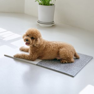 친환경 대리석쿨매트 넉넉한 52cm 중형사이즈