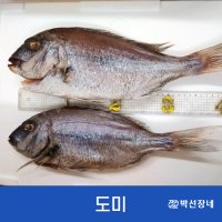 반건조 도미(자연산) 40cm내외 - 해풍 건조생선 제수용 추천