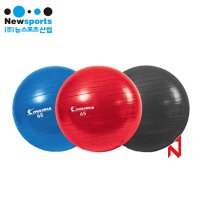 [뉴스포츠] 짐볼55cm 랜덤발송