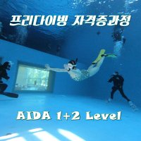 안전하고 즐거운 프리다이빙 AIDA 1레벨+2레벨 콤보과정