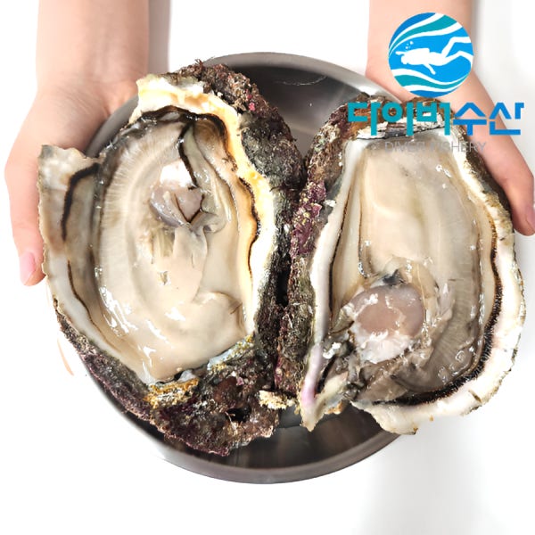 [다이버수산] 바위굴 하프셀 거제도 자연산 벚굴 1kg