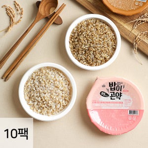 다신샵 저당 즉석밥 밥이곤약 2종 10팩 / 105kcal 귀리 곤약쌀 현미