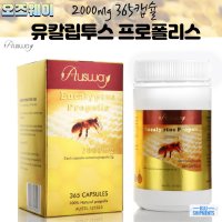 호주 오즈웨이 유칼립투스 프로폴리스 2000mg 365캡슐