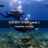 [다비이즈프리] PADI 오픈워터 다이버 교육 - 스쿠버다이빙 자격증 강습