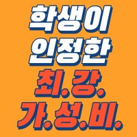 가성비 화상영어 전화영어 오잉톡 어린이 초등 성인 원어민 필리핀