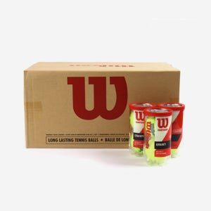 윌슨 챔피언쉽 테니스공 T1067KO 1박스