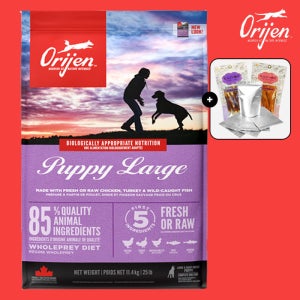 [소분팩+간식] 오리젠 라지퍼피 11.4kg