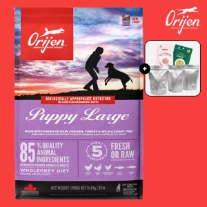 (소분팩+간식) 오리젠 라지퍼피 11.4kg
