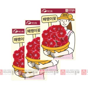 아시아종묘 씨앗 꽃 패랭이꽃 1000립 3ea