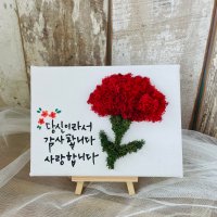 스칸디아모스 DIY 캔버스액자 카네이션 만들기 키트 공기정화식물 천연이끼 어버이날