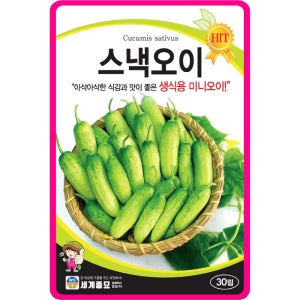 오이 씨앗 미니 스낵 오이 종자 채소 과채류