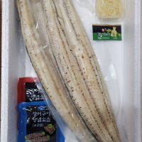 고창 선운산 국산 자포니카 풍천장어 장어 500g 민물장어