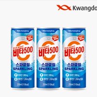 비타오백 캔 스파클링 250ml x 96캔