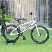 언노운 BMX cruiser 24인치 자전거