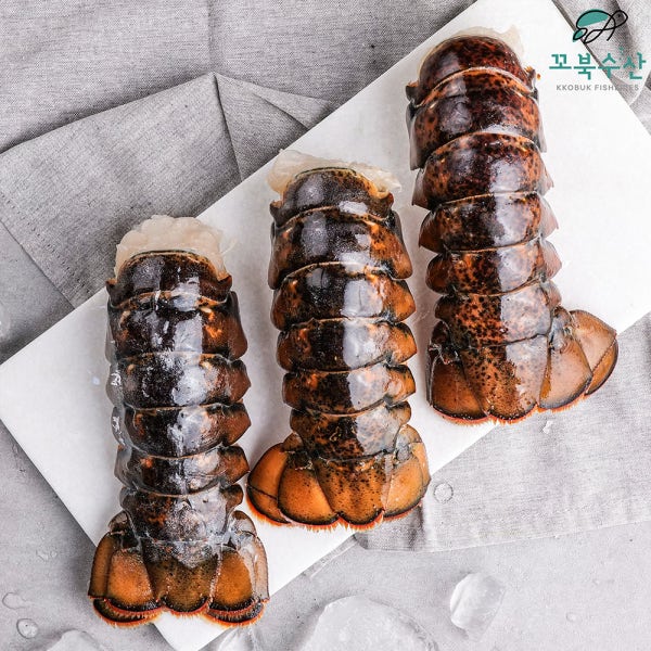 랍스터 테일 1마리 (100-220g) 냉동 랍스타 꼬리 바다가제 4-8oz