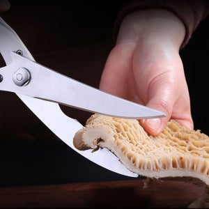 SSGP 스텐 육류용 올스텐 가위