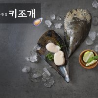 자연산 키조개 국내산 여수 키조개 조개구이 버터구이 키조개 대중사이즈