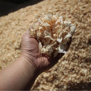 소나무 대패 톱밥