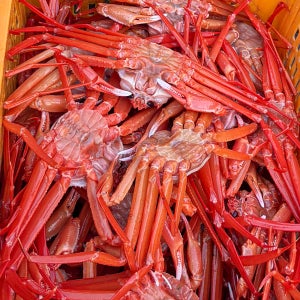 우리집게꿀 홍게 당일조업 산지직송 넉넉한 추가 중량 정품, 4kg, 1개