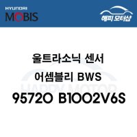 울트라소닉 센서 어셈블리－BWS 95720B1002V6S / 95720 B1002V6S