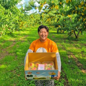 제철과일 고당도 황도 백도 복숭아 말랑이 딱딱이 GAP우수농산물 저탄소인증 김해묵의 행운복숭아 선물세트