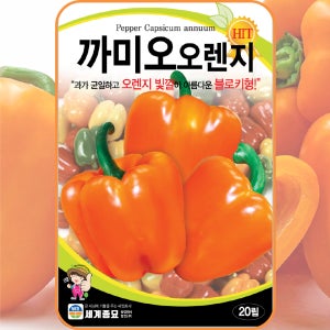 주황색 파프리카 씨앗 주황색 피망 종자 20립 / 까미오오렌지 블로키형