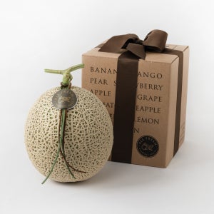 프리미엄 머스크멜론 선물세트 (1입) 1.6kg