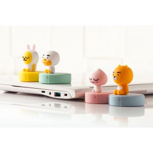 카카오프렌즈 피규어 USB 32G 캐릭터 이동식 디스크