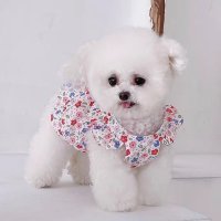 강아지 꽃잎 원피스 아기옷 2XS 부터 고양이 봄 여름옷 나들이 피크닉치마