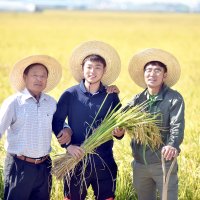 소문난농부 맛있는 햅쌀 20kg 백미 신동진쌀 삼광쌀 찹쌀 현미 고시히카리 특별전