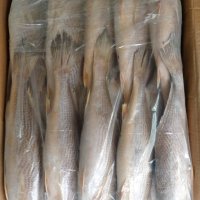 민어조기 P 24마리 13.5kg 38-40cm내외 도매 업소용 식당용 반찬용 선물용