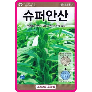 슈퍼안산참깨 씨앗 3000립 수확량많은 가지깨