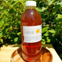 은행식초 은행나무 은행잎 발효 1000ml 희석 효소 천연 조미료 은행열매 수제 숙성