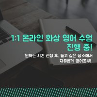 [온라인] 1:1 개인 맞춤 영어 ZOOM 화상 수업 (1회 수강권 - 60분)